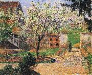 Camille Pissarro Flowering Plum Tree Eragny oil painting